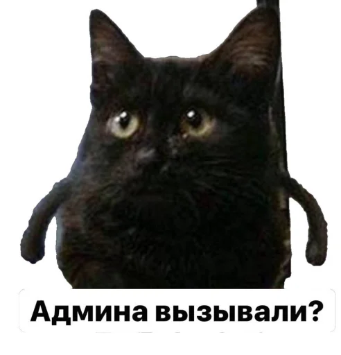 Sticker LightingAnimals - 1