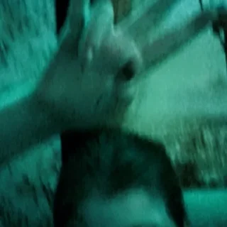 Стикер like me, like not me - 0