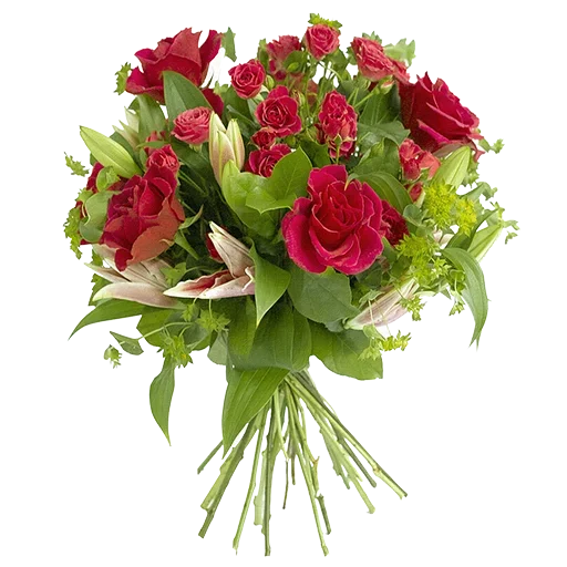 Стикер LikePackyo - 1