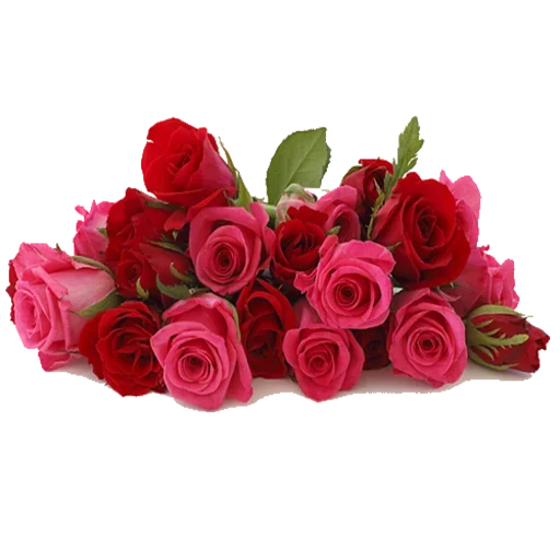 Стикер LikePackyo - 1