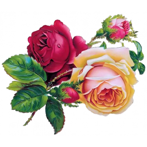 Стикер LikePackyo - 1