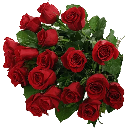 Стикер LikePackyo - 1