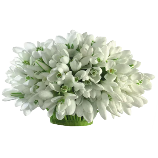 Стикер LikePackyo - 1