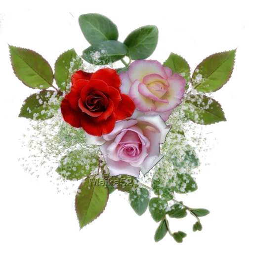 Стикер LikePackyo - 1