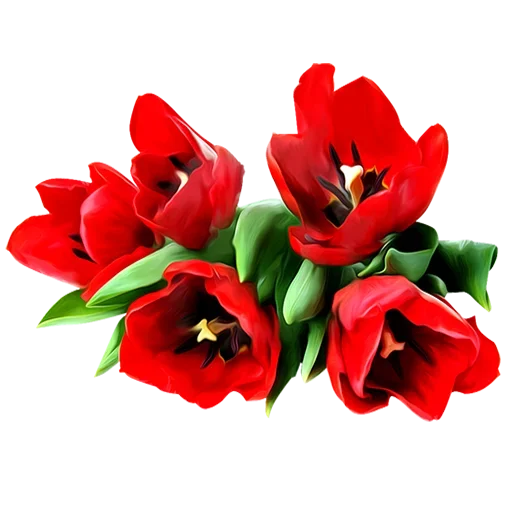 Стикер LikePackyo - 1