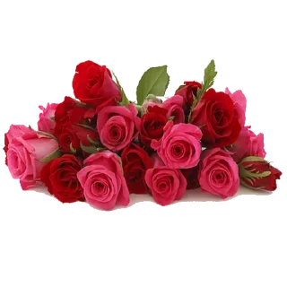 Стикер Like Pack @stickersb2b - 9