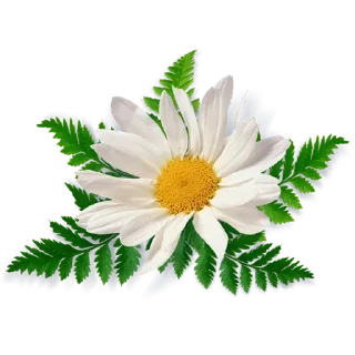 Стикер Like Pack @stickersb2b - 3