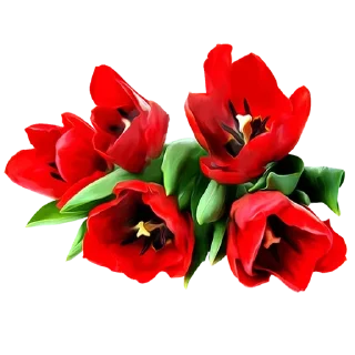 Стикер Like Pack @stickersb2b - 0