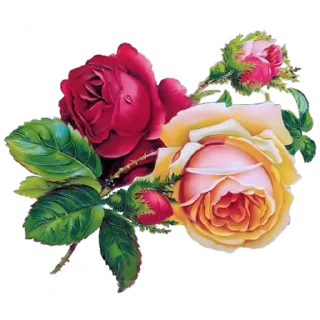 Стикер Like Pack @stickersb2b - 8