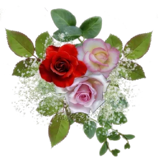 Стикер Like Pack @stickersb2b - 1