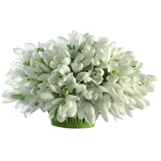 Стикер Like Pack @stickersb2b - 4