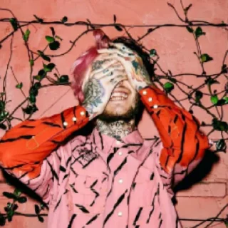 Стикер Lil peep🐣🐥 - 8