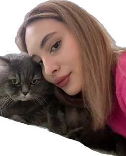 Sticker Моисей - 8