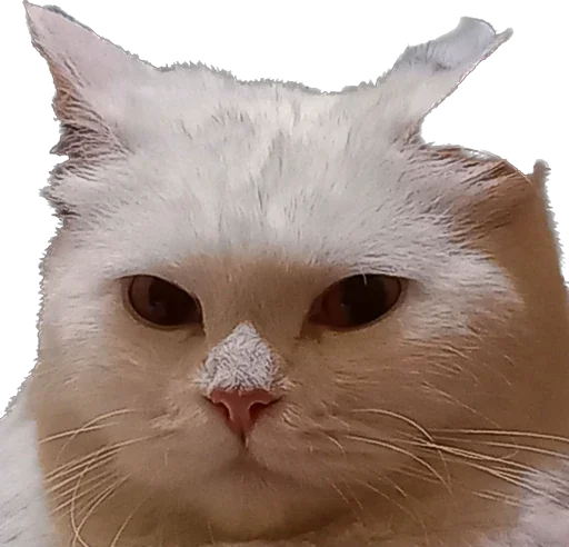 Sticker Lilit0956020940 - 1