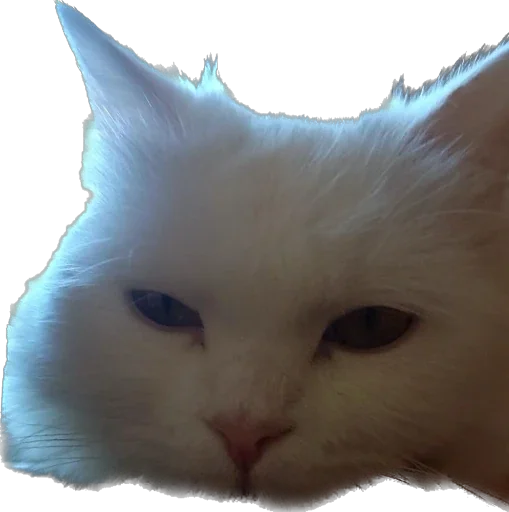 Sticker Lilit0956020940 - 1