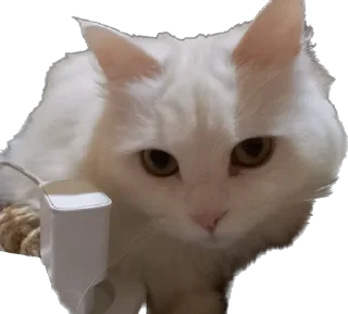 Sticker Ліліт хайп - 2