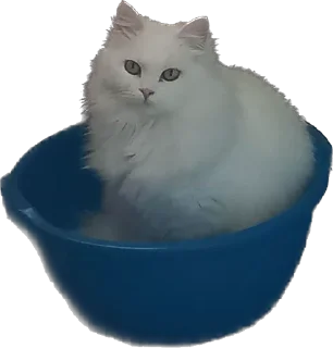 Sticker Ліліт хайп - 10