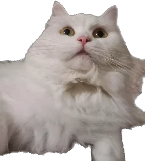 Sticker Ліліт хайп - 0