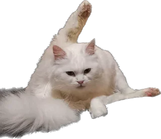 Sticker Ліліт хайп - 7