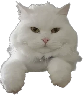 Sticker Ліліт хайп - 11