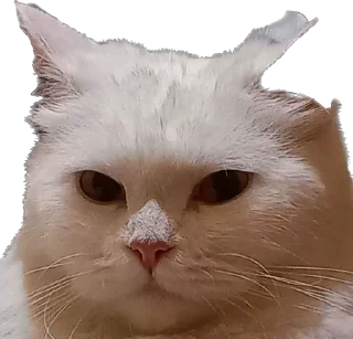 Sticker Ліліт хайп - 8