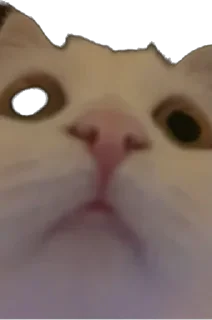 Sticker Ліліт хайп - 6