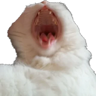 Sticker Ліліт хайп - 1