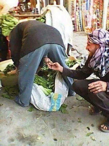 одежда Человек обувь