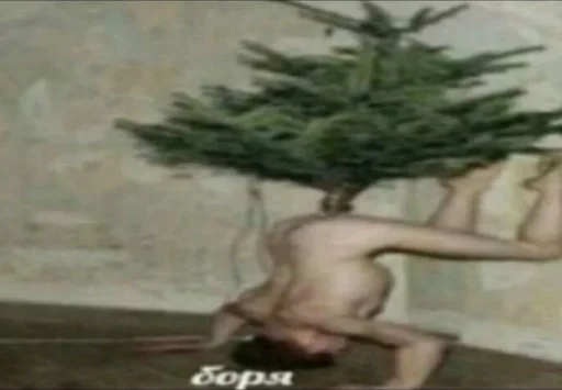 растение Елку рисование