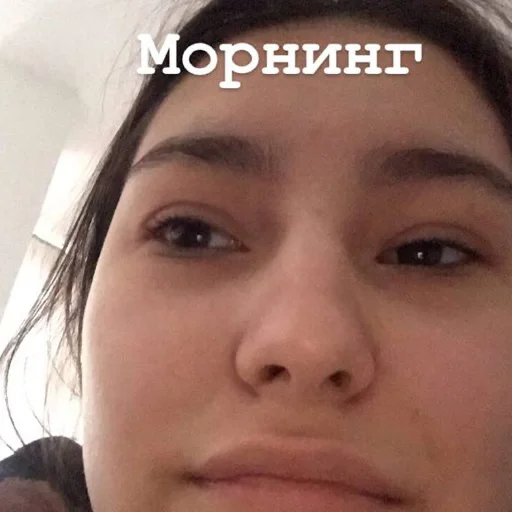 Стикер мосяЛИНЫ - 2