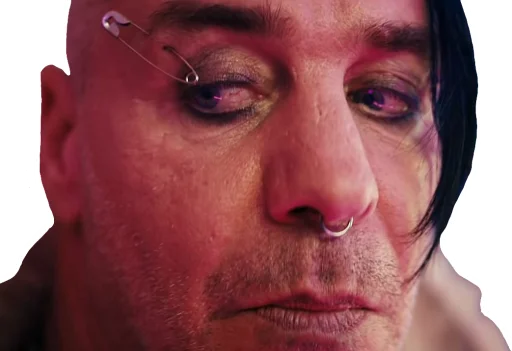 human face eyebrow skin