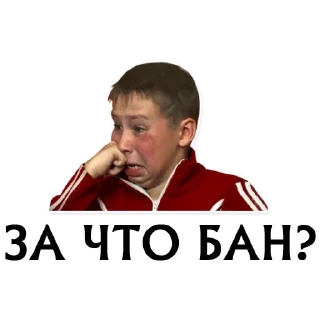 Стикер LineageTwo.ru - 0