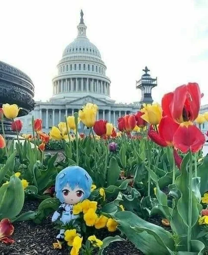 на открытом воздухе небо цветок