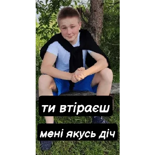 Стикер Lion Kalyasik - 7