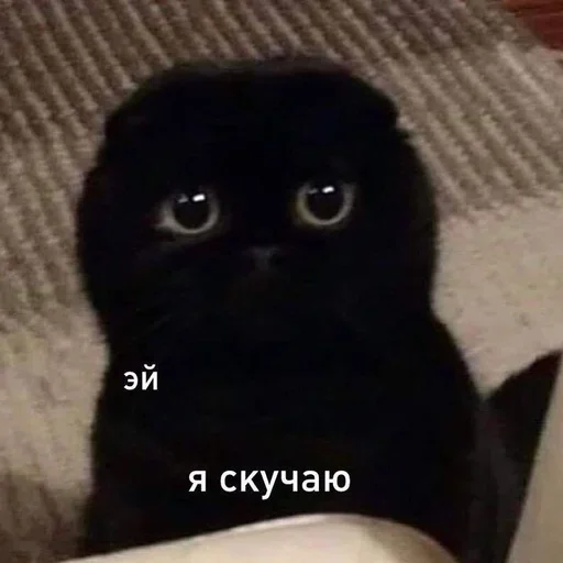 Sticker LipDrqeUWe_by_JmojiBot - 1