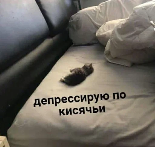 Sticker LipDrqeUWe_by_JmojiBot - 1