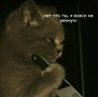 Sticker Пиздец @Femoji - 5