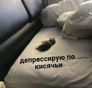 Sticker Пиздец @Femoji - 8