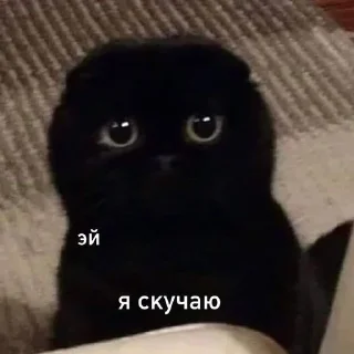 Sticker Пиздец @Femoji - 10