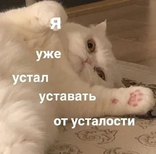 Sticker Пиздец @Femoji - 6