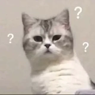 Sticker Пиздец @Femoji - 4