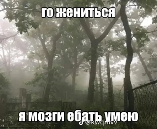 Sticker Пиздец @Femoji - 9