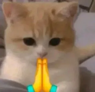 Sticker Пиздец @Femoji - 7