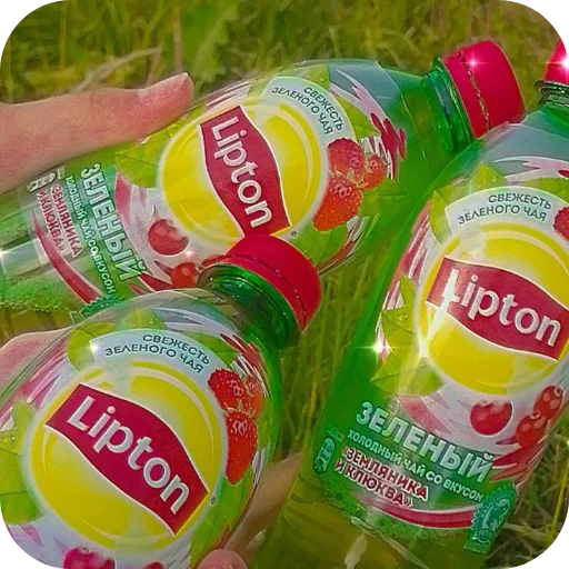 Sticker Lipton508 - 1