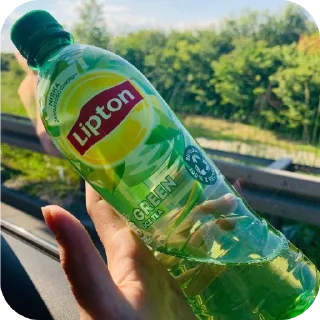 Sticker 🌿🍵🍑Липтон 🍑🍵🌿 - 6