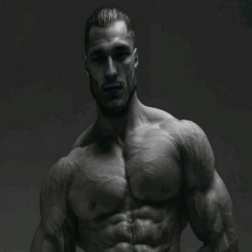 chest muscle barechested