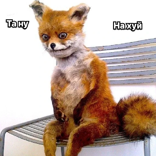 Sticker LisMadeInENot - 1