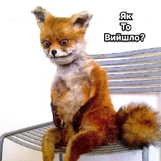 Sticker Лис made in E-not😎 - 5