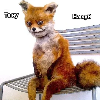 Sticker Лис made in E-not😎 - 4