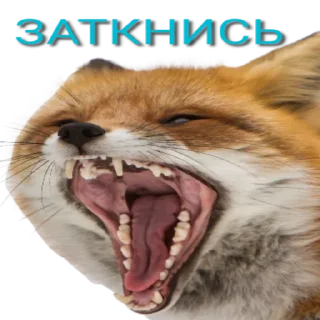 Стикер Lisa - 6